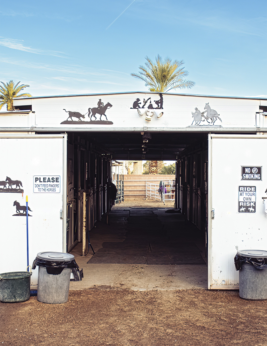 J&J Las Vegas Horse Boarding & Riding Academy