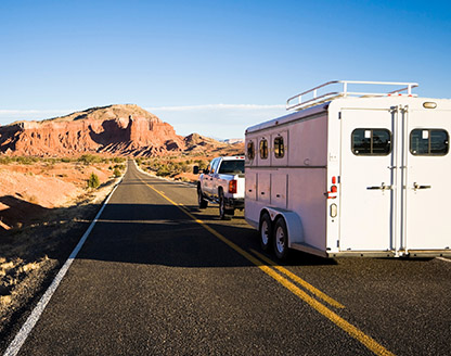 Las Vegas-based animal and pet transporting service